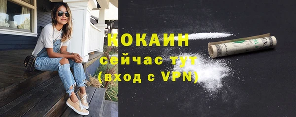 тгк Алексин