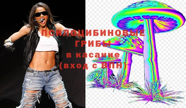 a pvp Алзамай