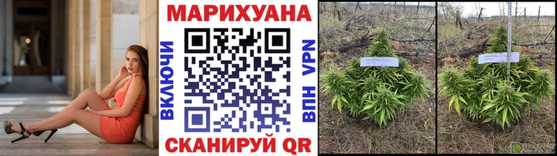 купить   omg онион  Бошки марихуана марихуана  Нижний Тагил 